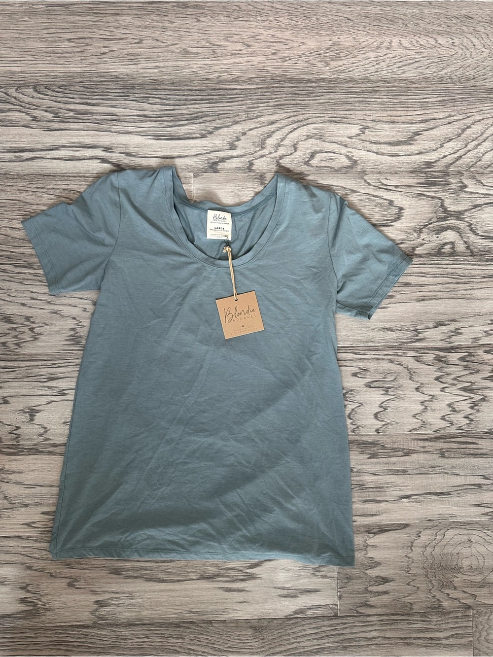 ambition Women's Scoop Neck Tee in Dusty Sage green
